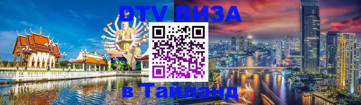 Оформление DTV визы под ключ: стоимость и тарифы, только загранпаспорт - 18.11.2025 